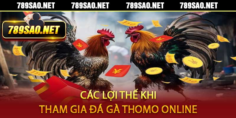 Đá Gà Thomo
