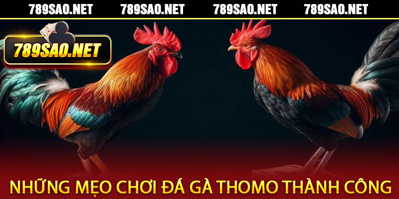 Đá Gà Thomo