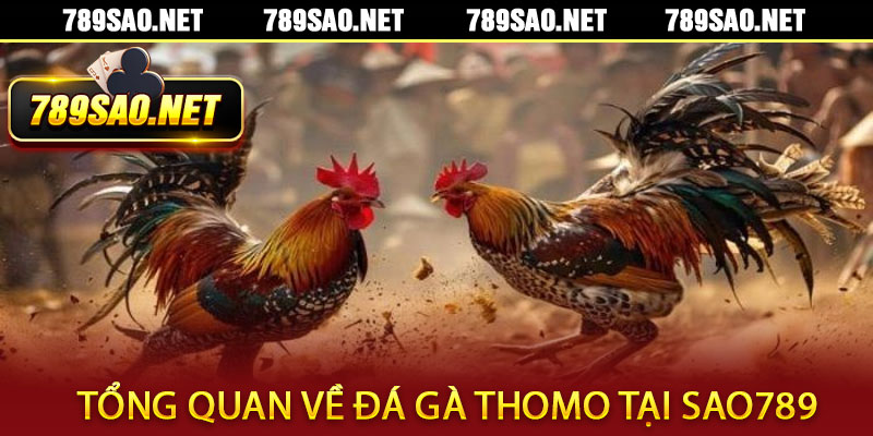 Đá Gà Thomo